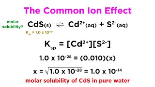The Common Ion Effect