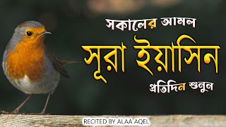 সূরা ইয়াসিন আবেগময় কন্ঠে প্রতিদিন সকালে শুনুন | SURAH YASIN Best recitation by alaa aqel