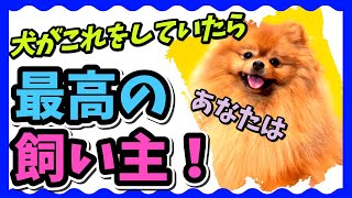 犬が幸せである10のサイン | 愛犬との特別な瞬間を共有しよう