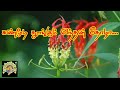 கண்மூடி தூங்கும் எந்தன் தோழா... | தமிழ்தேசிய பாடல்