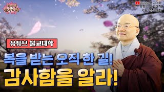 🌸감사함을 알아야 부처님의 자비광명, 지혜광명이 흘러들어와 번창의 길로 안내한다 「유튜브 불교대학」. 「YouTube 불교대학」.「기도 명상 대학」. JKTV