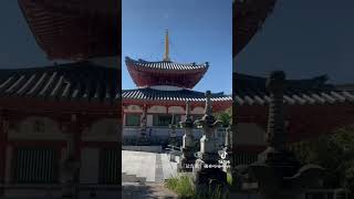 愛知県名古屋市鎮座「八事山興正寺」参詣動画🙏