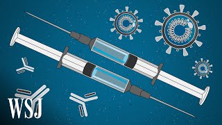 The Promise and Peril of Fast-Tracking the Coronavirus Vaccine | WSJ