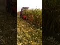 ANON corn harvester  working video 3