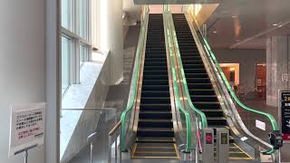 ［逆走防止ブザー作動］福岡国際会議場　escalator  buzzer