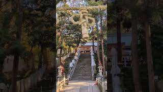 東大阪市にある河内国一之宮の枚岡神社⛩️✨初めてご参拝しました。たくさんパワーをいただきました✨#枚岡神社 #東大阪市 #河内国一之宮　#旧官幣大社　#神社巡り #神社好き #パワースポット