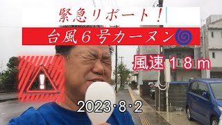 緊急速報！台風6号！カーヌン、９３０hPa強い！石垣島から現地駐在員のクニチャンがリポート！＃台風＃クニチャン＃石垣島#taif