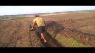 គោយន្តភ្ជួរស្រែ- plowing