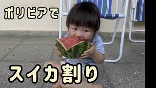 【ボリビア生まれの日本人二歳児】スイカ割り