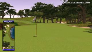 Golden Tee Great Shot on Cypress Cove!