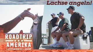 Der frühe Koch fängt den Fisch! 🎣 Abendessen gesichert? | Roadtrip Amerika 3