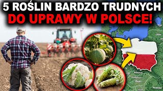 5 ROŚLIN WYJĄTKOWO TRUDNYCH DO UPRAWY W POLSCE!