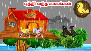 கார்ட்டூன் 15/11/24 | Feel good stories in Tamil | Tamil moral stories | Beauty Birds stories Tamil