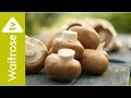 A Taste of Leckford Estate | Mushrooms | Waitrose