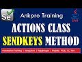 Selenium with Java 32 - Actions class sendKeys method explained in detail with code
