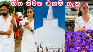 පින් ඇත්තෝ පින් ලබත්වා🙏 | සිත නිවන එකම තැන😌| අනුරාධපුර ගමන🫶🏻💕