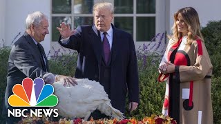 President Trump Pardons 'Peas' And 'Carrots' While Joking About Subpoenas | NBC News