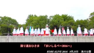 踊り連おひさま 　「まいしるべ～2016～」　KOBE ALIVE 2016　2日目　湊川公園