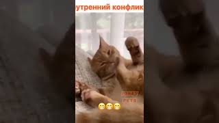 #юмор #shortsvideo #funny #cat #funnyshorts