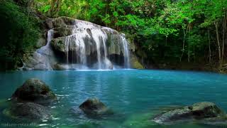 Tropical Rain Forest Waterfall Sound | Relaxing Sounds | Deep Calming Relaxation