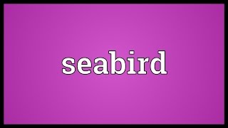 Seabird Meaning