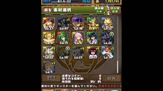 パズドラ  クリスマスガチャを2回引いてみた