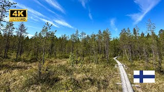 ARCTIC CIRCLE HIKING AREA (Napapiirin Retkeilyalue) - Lapland Nature Trails, Rovaniemi Finland (4K)