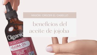 misión  #crecemecabello Aceite de Jojoba, beneficios y propiedades. Oro líquido natural