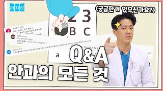 눈에 대한 모든 것 QnA