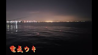 タチウオ釣りの電気ウキをただ眺める　I look at electric float.