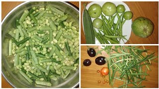 Harvesting fresh vegetables from my terrace garden/ತಾರಸಿ ತೋಟದಿಂದ ತರಕಾರಿಗಳ ಕೊಯ್ಲು