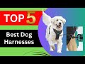 Top 5 Best Dog Harnesses of 2024 - Dog Harness Review