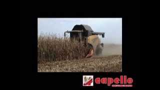 Capello Quasar Product Video