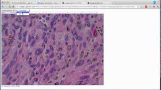 ImageJS first introduction
