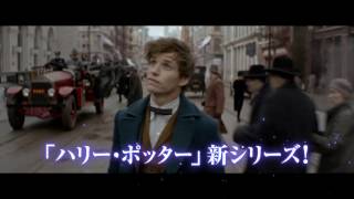 『ハリポタ』新シリーズ「ニュート編」　『ファンタスティック・ビーストと魔法使いの旅』特別映像