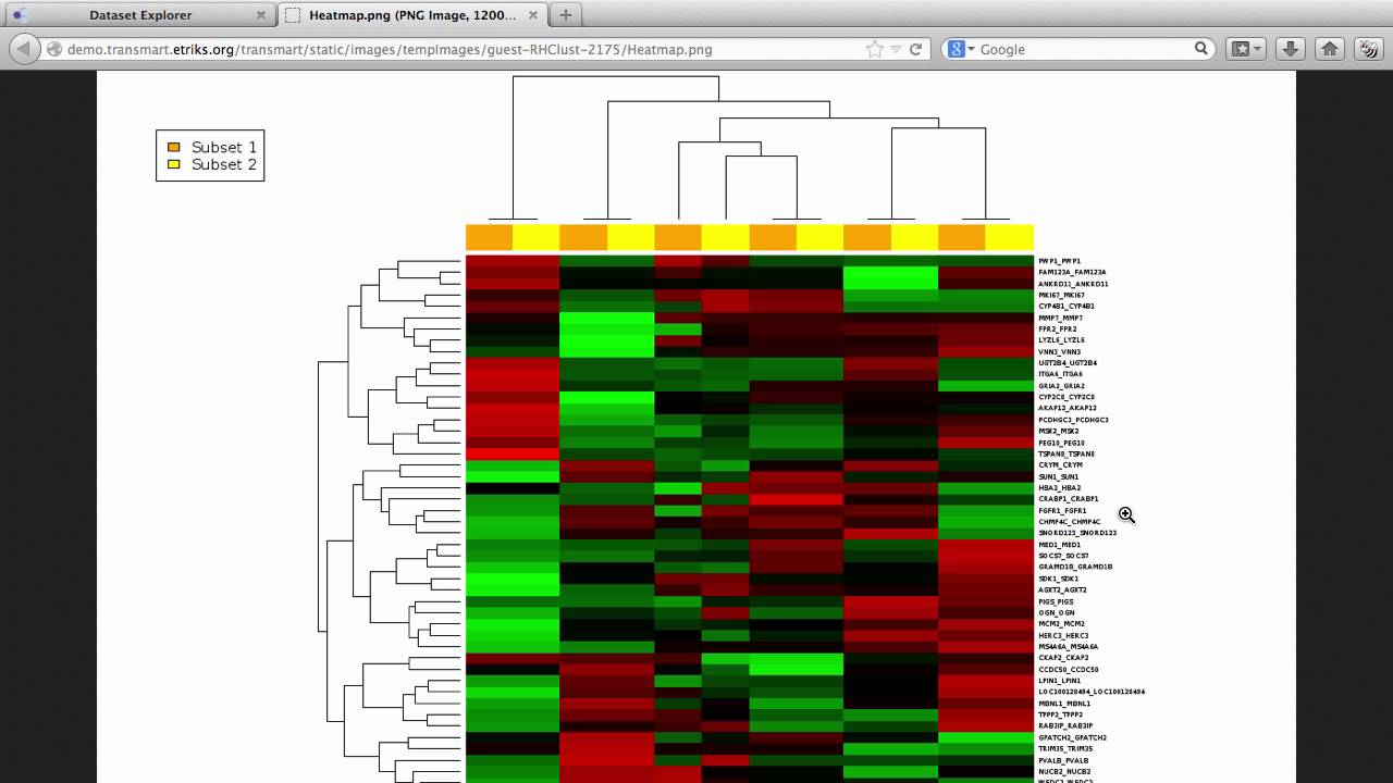 Heatmaps