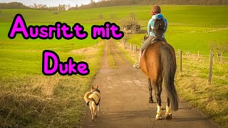 Ausritt mit Duke 🦄🙈 Im Gelände ist er ein kleines Problempferd