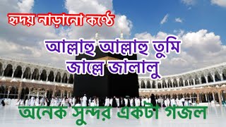 আল্লাহু আল্লাহু তুমি জাল্লে জালালু | Allahu Allahu | Islamic Song | Bangla Gojol