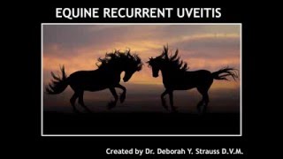 Deborah Y. Strauss, D.V.M: Equine Recurrent Uveitis