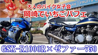 【GSX-R1000R】【ゼファー750】大人のバイク女子会でいちごパフェ♡プチツーリング【モトブログ】