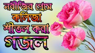 প্রিয় নবিজীর প্রেমে কলিজা শীতল করা গজল, মন মাতানো গজল,New Peaceful Voice Gojol Islamic Bangla Gojol