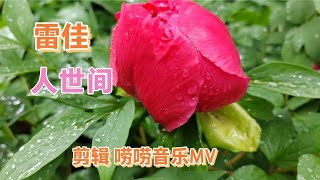 雷佳深情演唱，电视剧《人世间》主题曲，献给母亲节，温情满满…