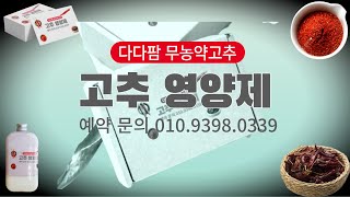 고추 모종심기전 지금 꼭 해야할일은? 고추밭 만들기 1탄