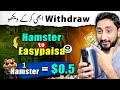 Hamster Kombat Withdrawal In Pakistan | Hamster Kombat Coins Withdrawal Price