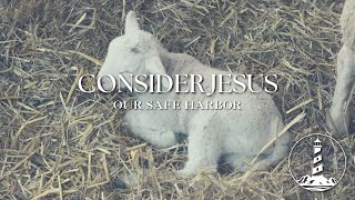 Sunday Worship: Consider Jesus - Behold the Lamb part 2 (1-12-25)