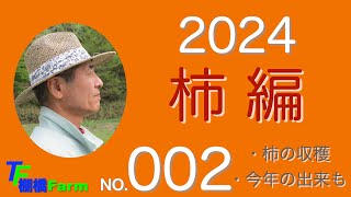 一人で農業柿編002　秋になり収穫時期突入です