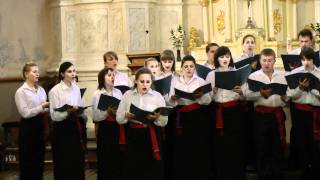 Ave Musica Choir (Ukraine) - \