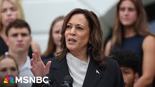 The Dem Dream Team: How Harris’ candidacy is shaping the party’s strategy