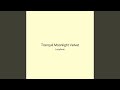 Tranquil Moonlight Velvet