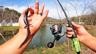 FISHING WITH A LIZARD!? (EPIC)